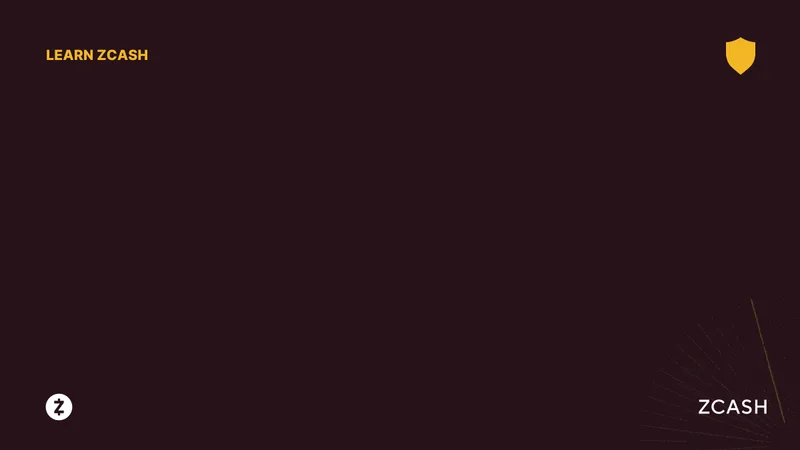 Zcash's Quantum Leap: What's Behind the Price Surge and Why It Matters for Our Digital Future