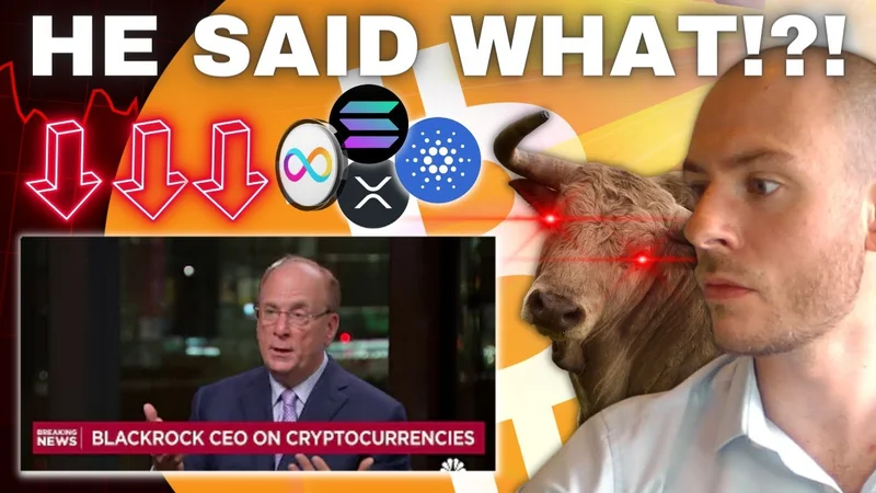 BlackRock's Bitcoin: Liquidity Alarm or Paradigm Shift? - Reactions: Liquidity Crisis?!